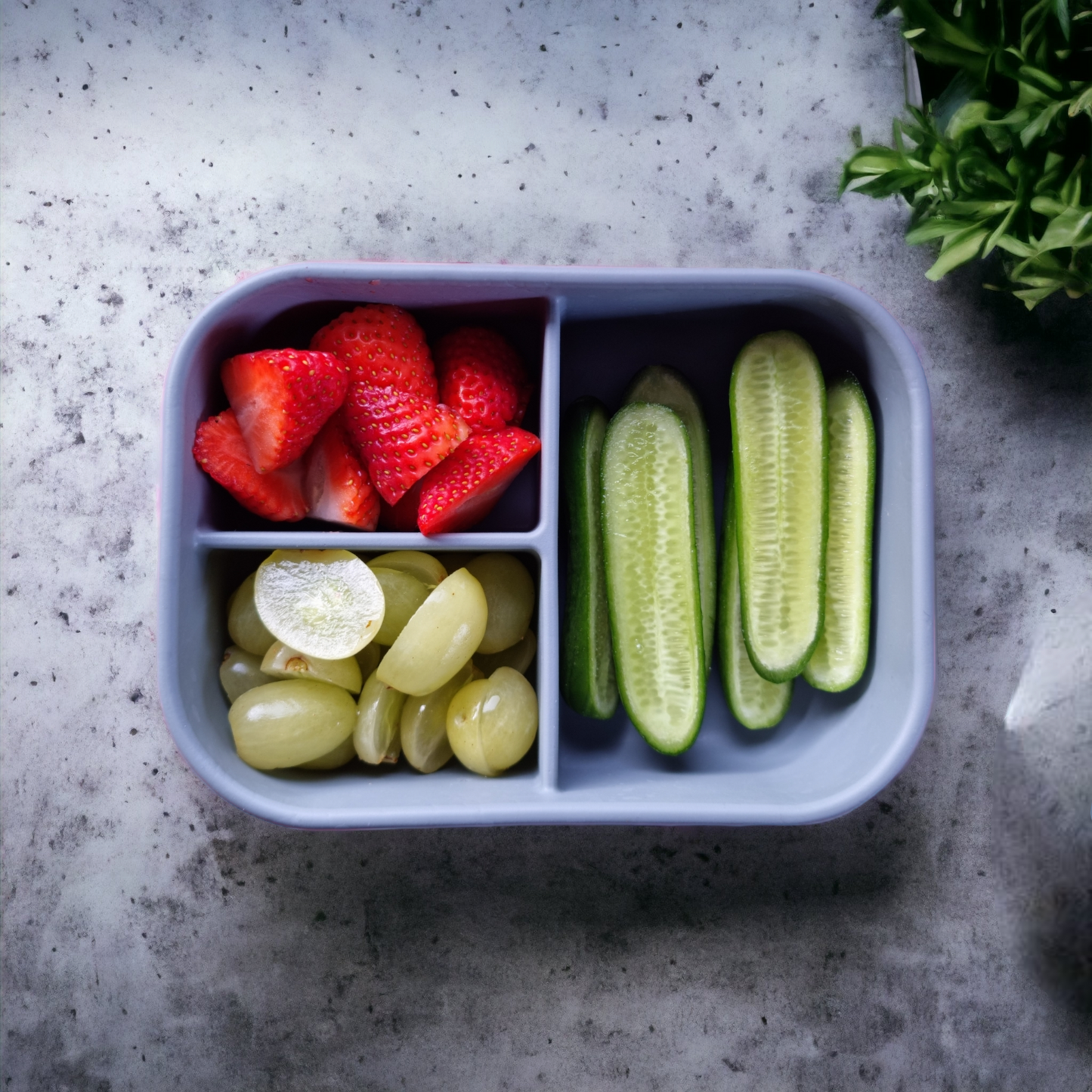 Bento Lunch Boxes - 3 Compartment - Mama & Ivy