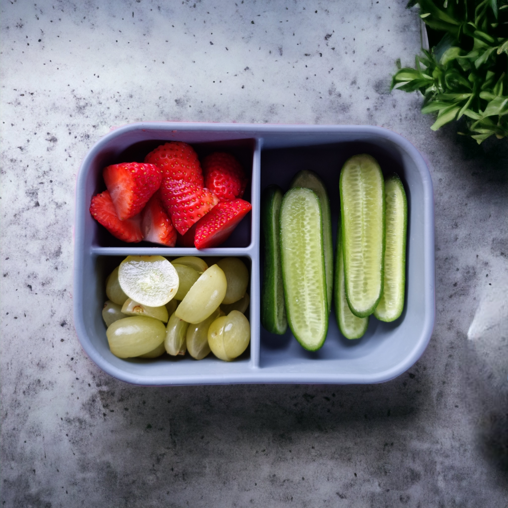 Bento Lunch Boxes - 3 Compartment - Mama & Ivy