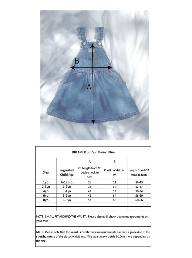 Dreamer Dress / Mariah Blue - Mama & Ivy